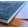 Art Of Uncharted 4: A Thief's End