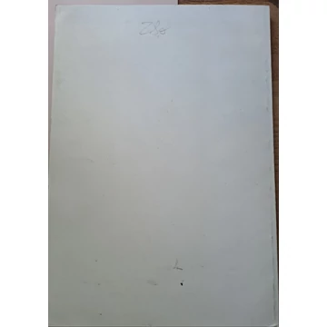 Frisnyák Sándor (főszerkesztő) - Papp József (szerkesztő) Pedagógia-Pszichológia