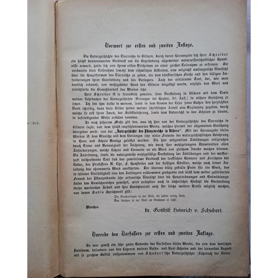 Buch Naturgeschichte Pflanzenreichs Botanik Flora Willkomm Schreiber ~1887