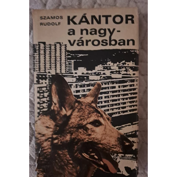 Szamos Rudolf Kántor ​a nagyvárosban 